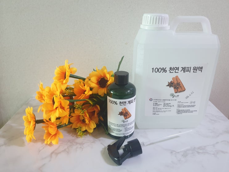 집먼지 진드기, 날파리 퇴치에 계피스프레이를 뿌려요~