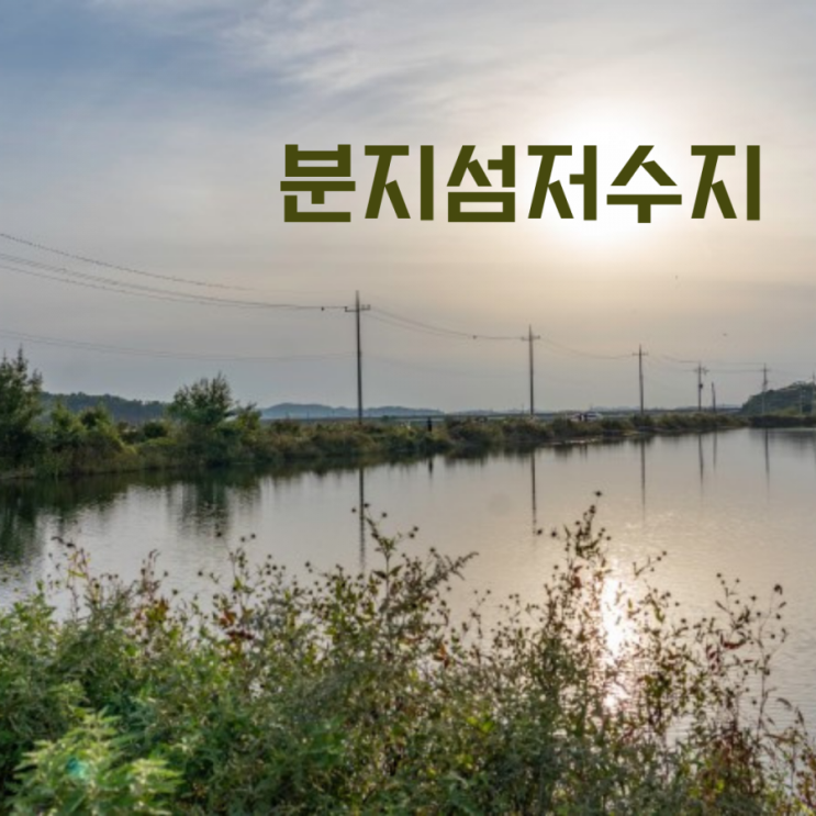 화성 분지섬저수지