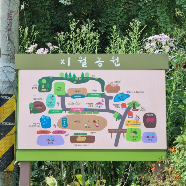 경기도 광주, 지월 농원 (당일 캠핑, 레일썰매, 숲 놀이터) 경기도 광주, 지월 농원 (당일 캠핑, 레일썰매, 숲 놀이터)