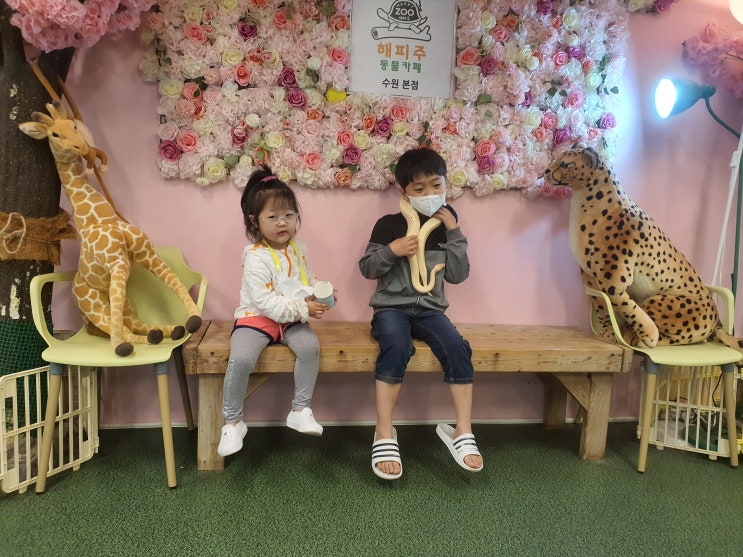  수원동물분양 해피주 동물들도 분양도 해주네요.거북이도 있답니다
