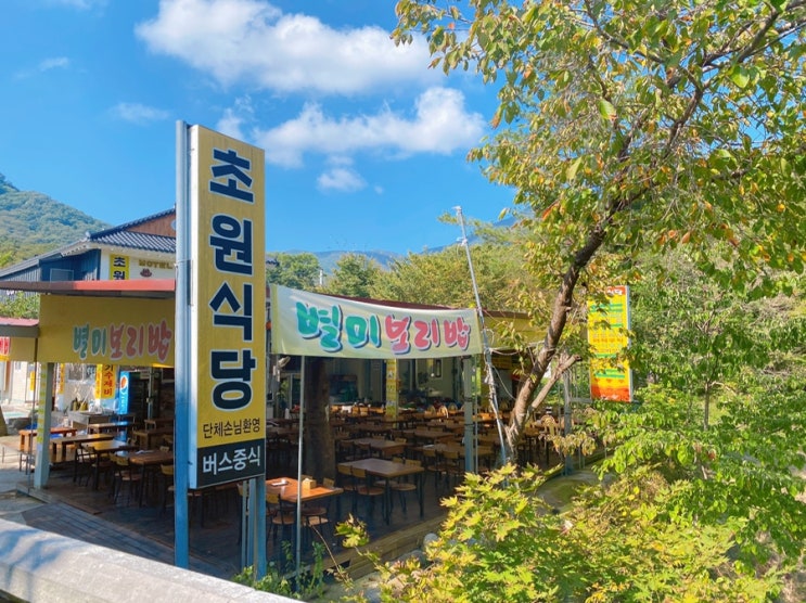  [순천선암사맛집] 산채비빔밥, 파전은 “초원식당”에서!