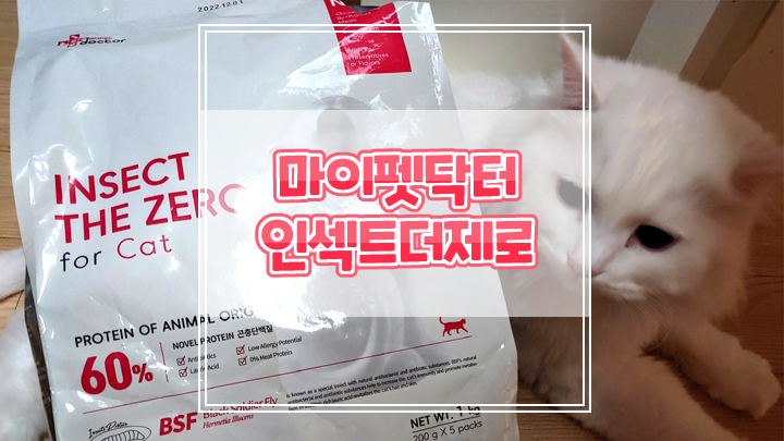  마이펫닥터 인섹트더제로로 고양이 안심단백질 사료 급여해주세요