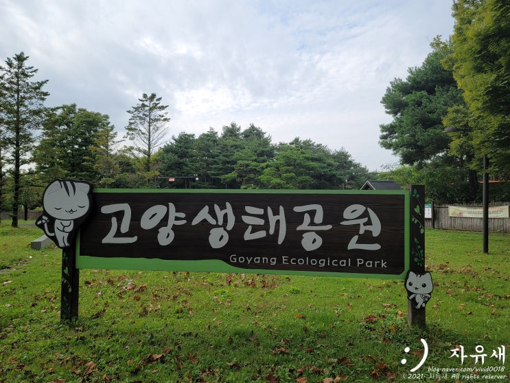  서울 근교 공원데이트 고양생태공원으로 주말 나들이