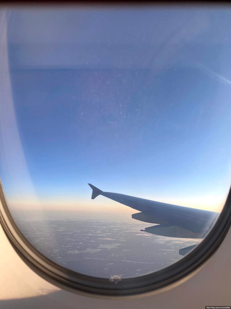  2019년 스물, 그리고 뉴욕 1일차: JFK공항, 타임즈스퀘어, 브라이언트파크, 록펠러센터, 에싸베이글