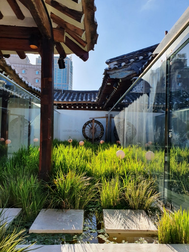  종로 골목골목 탐색 2만보 걸은 날, 을지로 산수갑산, 힙지로 선셋레코드, 익선동 플리퍼스,  망원티라미수, 종로5가 싱싱해물나라