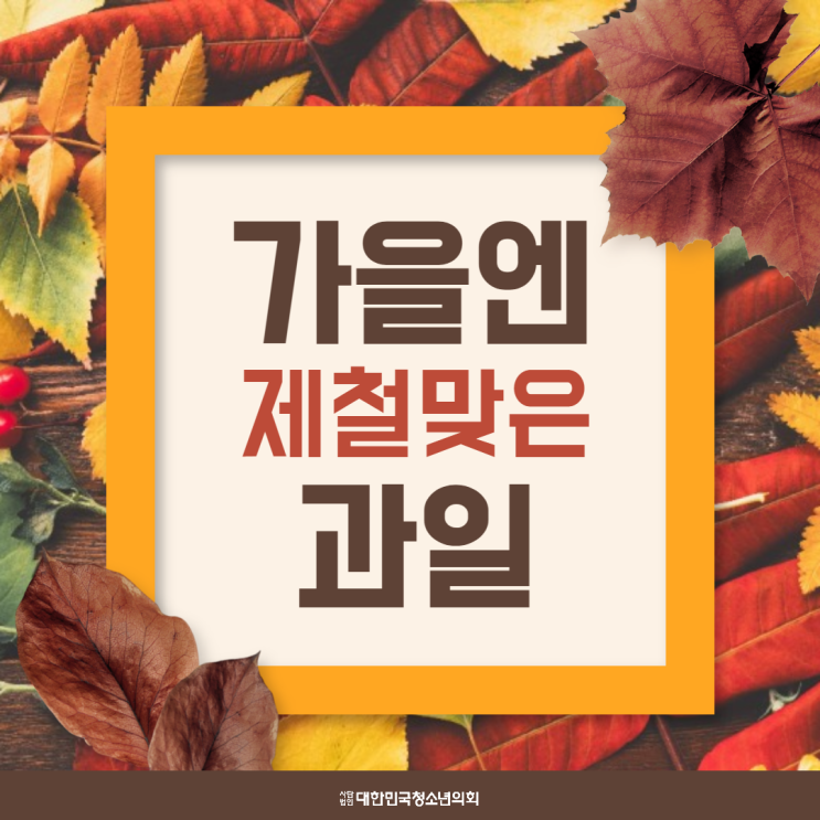 [가을] 대청의와 함께 알아보는 맛있는 가을과일 !