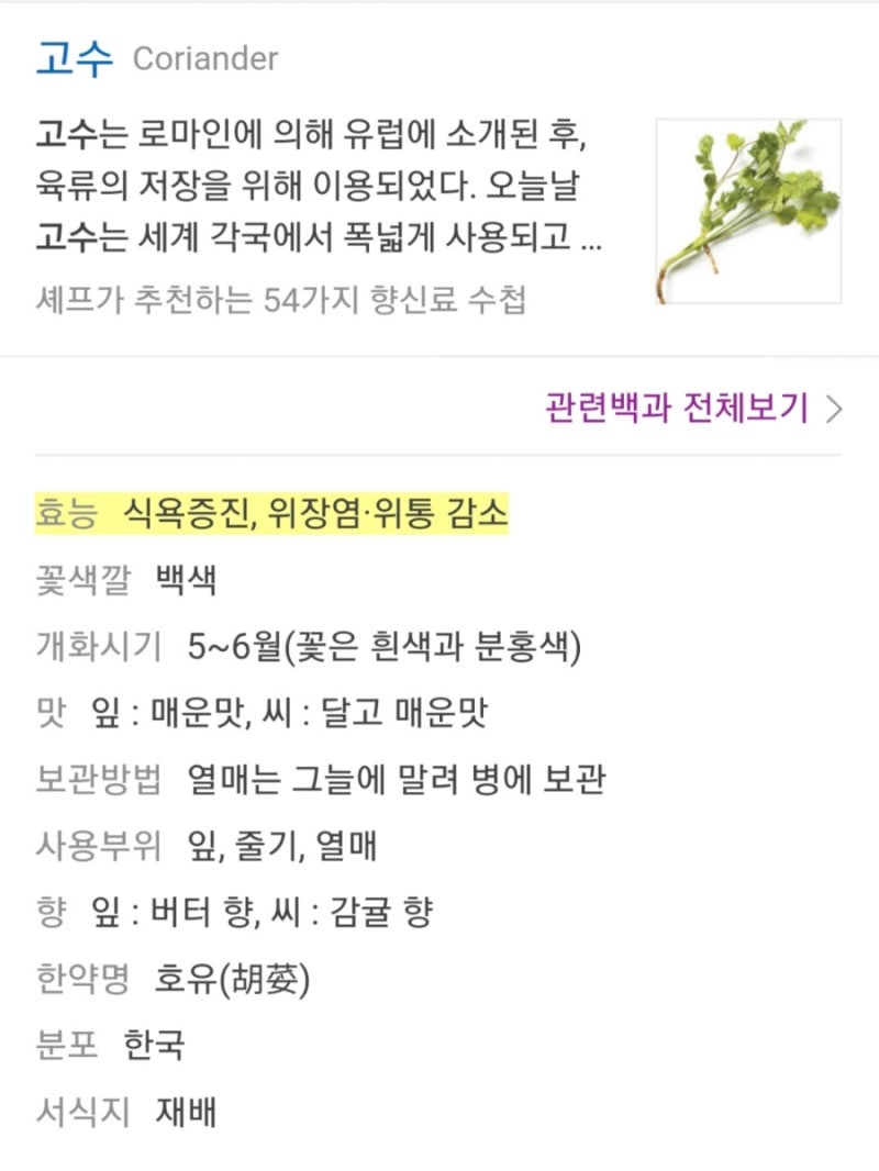고수? 고수채소에 삼겹살 최고, 고수의 효능(식용증진,위 도움) : 네이버 블로그