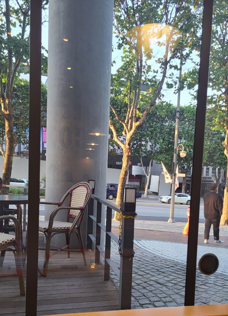  차프로님 실물 영접한 날