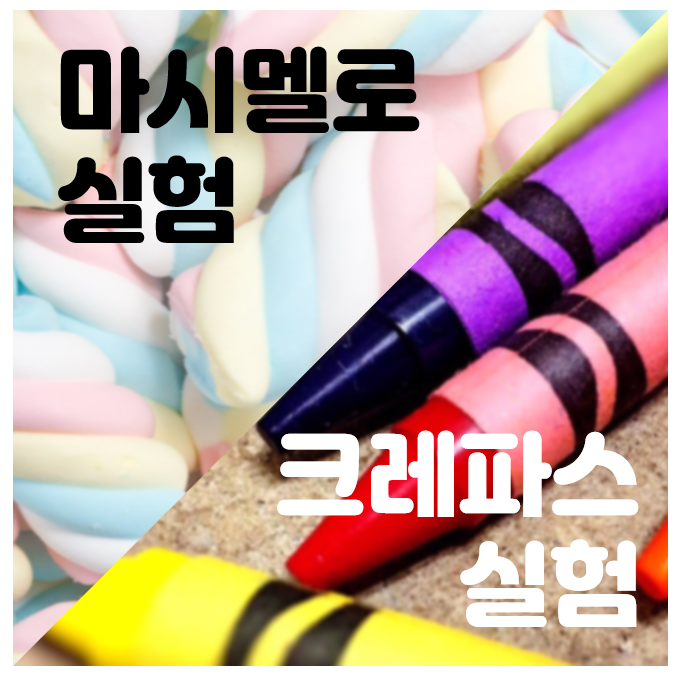  마시멜로 실험과 크레파스 실험으로 본 교사의 자세