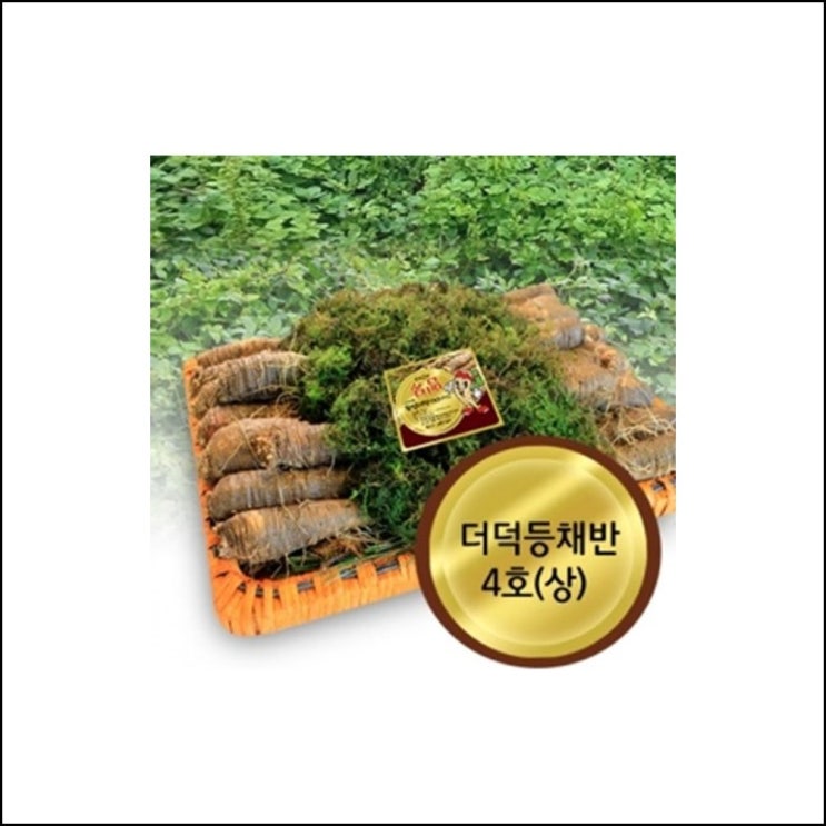 선호도 높은 고씨네농장 더덕4호상 난발더덕 산마루더덕 생더덕 강원도더덕 더덕무침용 깐더덕 고랭지더덕 xhqa, 등채반4호(1.8 ··· 선호도 높은 고씨네농장 더덕4호상 난발더덕 산마루더덕 생더덕 강원도더덕 더덕무침용 깐더덕 고랭지더덕 xhqa, 등채반4호(1.8 ···