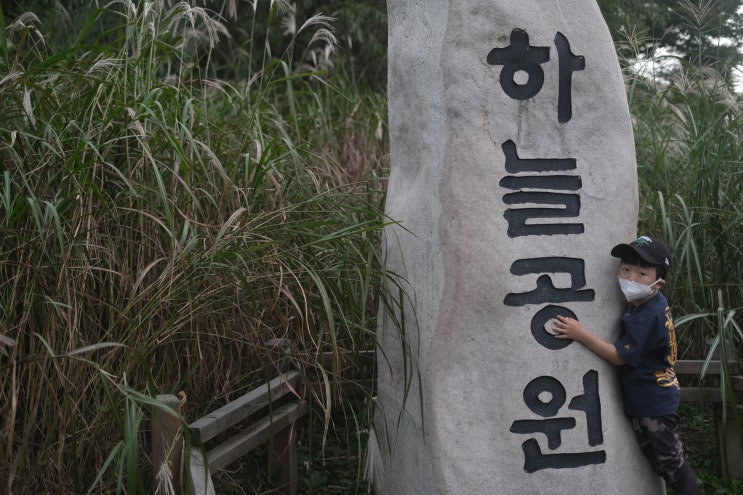  억새풀 가득한 10월의 하늘 공원에서 5세 아들과 가족 추억 만들기