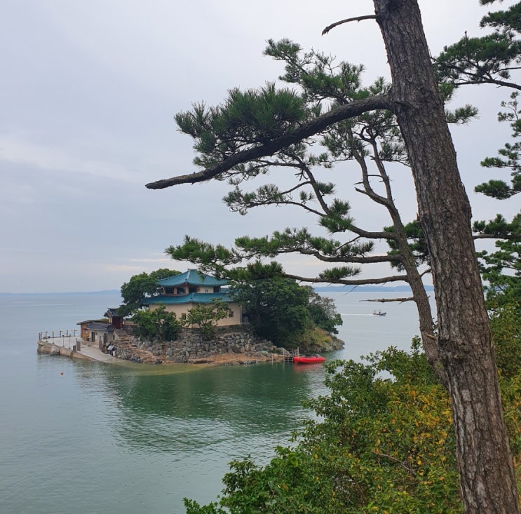  서산 가볼만핫 곳 | 간월암_길이 막히고열리는 절(길이 열리는 시간 확인 필수!)
