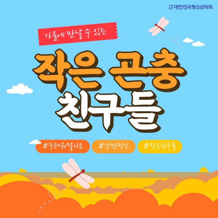 [가을] 가을에 만날 수 있는 작은 곤충 친구들