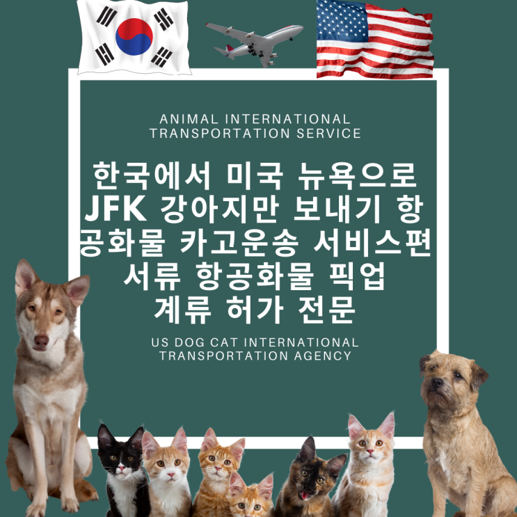  반려동물 애완동물 강아지 고양이 미국운송 강아지검역 고양이검역 뉴욕카고