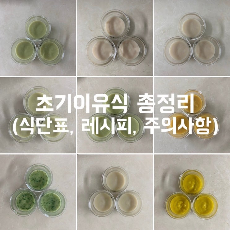  초기이유식 총정리(식단표, 레시피 모음, 조리도구 실사용 후기, 주의사항)