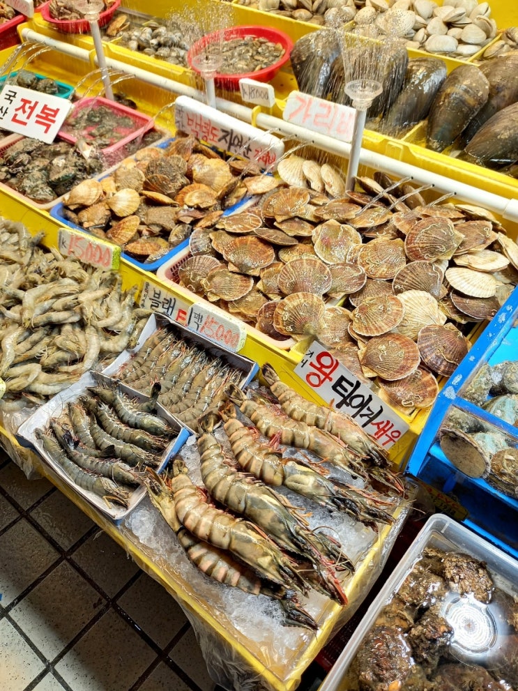 신선한 수산물 가득한 인천 연안부두 어시장 대하 구매 후기 신선한 수산물 가득한 인천 연안부두 어시장 대하 구매 후기