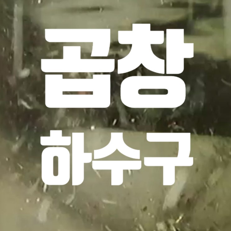  서울 대학로 곱창 하수구 막힘 해결. 불가능은 없다.