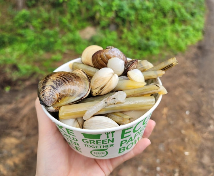  [10.10 듀니호일상] 태안맛조개라면/비오는날여행/몽산포항카페도요새
