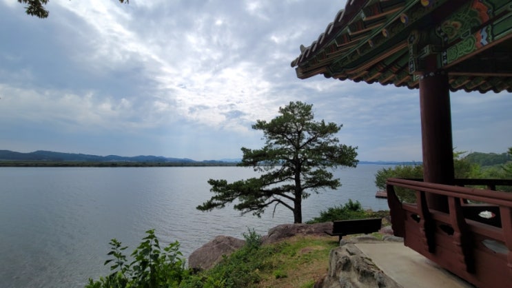  충남 부여 논산 익산 노지캠핑 feat 김총무와충남뿌시기