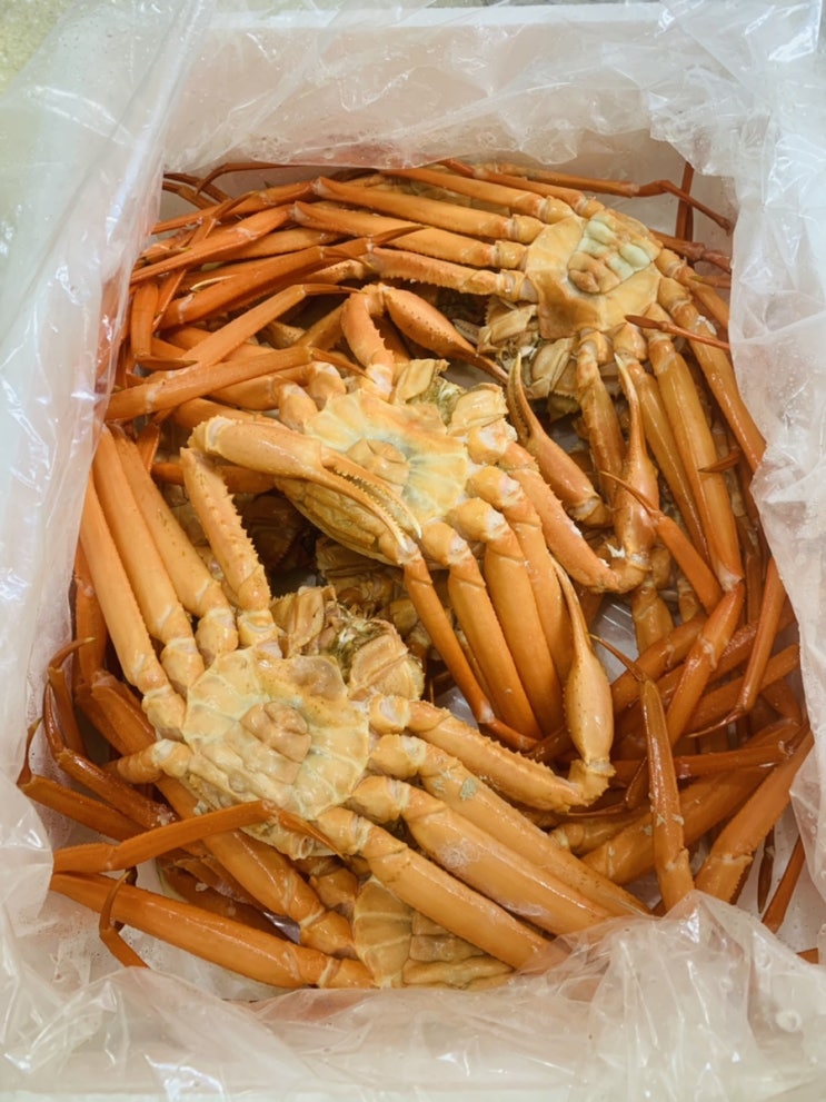  포항홍게 제철에 집에서 편하게 택배로 시켜먹었어요!