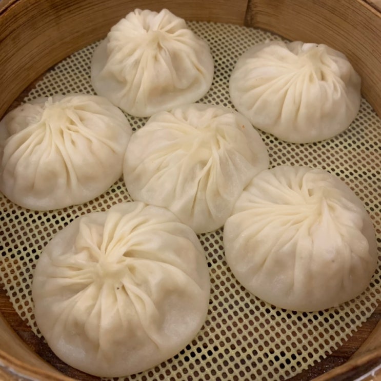  [ 수제딤성 정정 ] 공덕역, 대흥역 수제 딤섬 맛집