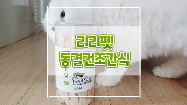  리리펫 동결건조간식 치킨트릿으로 까다로운 입맛 사로잡아요