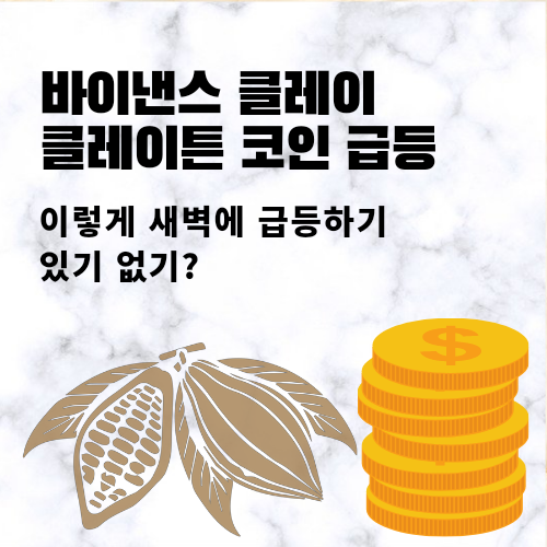 바이낸스 클레이 클레이튼 코인