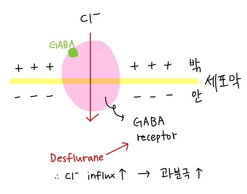 마취제 Desflurane(Suprane-Baxter Healthcare) 특징, 작용기전, 합성 메커니즘 : 네이버 블로그