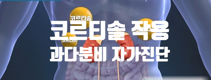  코르티솔 호르몬 작용 증상(ft. 과다 분비 자가 진단표 신문혈 지압법)