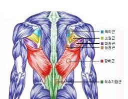 확실히 당기는 운동이라 후면이 좋아지네요 확실히 당기는 운동이라 후면이 좋아지네요