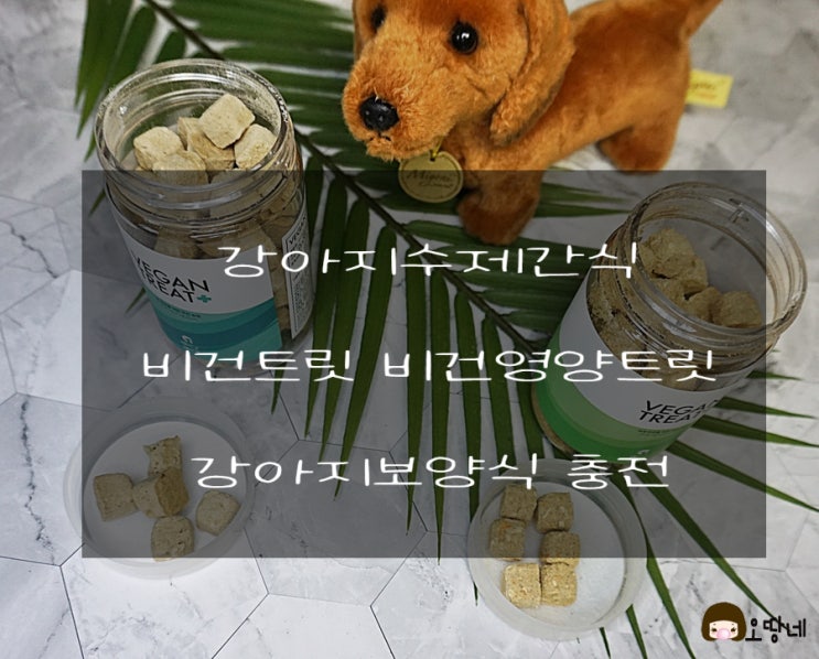  강아지수제간식  비건영양트릿 보양식 충전