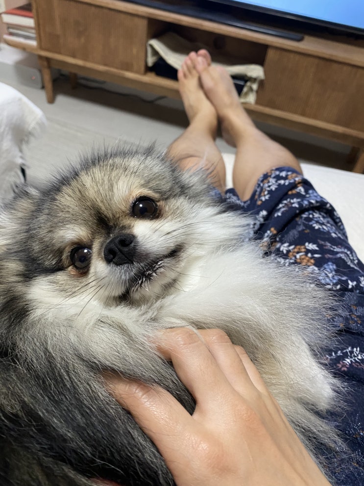  엄마와 단 둘이 꾸꾸