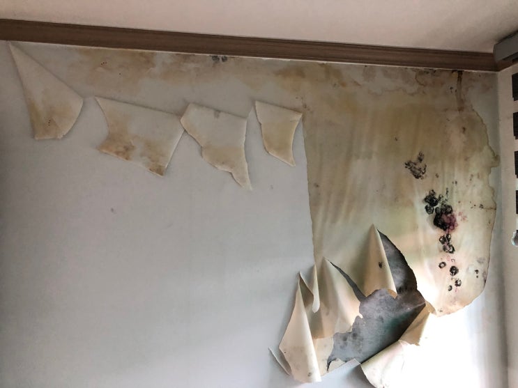  천장과 벽이 전부 젖었어요/원인은?/서대문구 냉천동 아파트 누수
