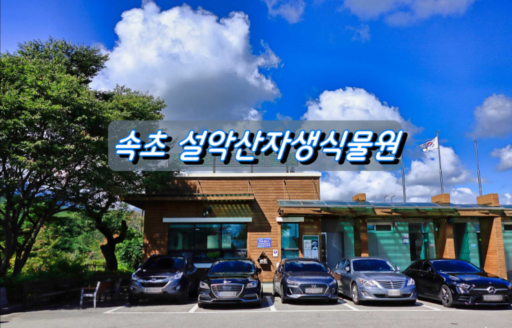 속초 산책하기 좋은곳 설악산자생식물원 속초 산책하기 좋은곳 설악산자생식물원