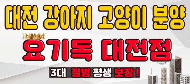  대전 요기독에서 확실히 받았어요!!