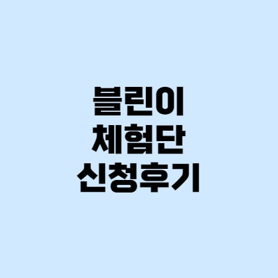 체험단 시작했어요! 초보블로거 레뷰, 미블, 놀러와체험단 신청 후기