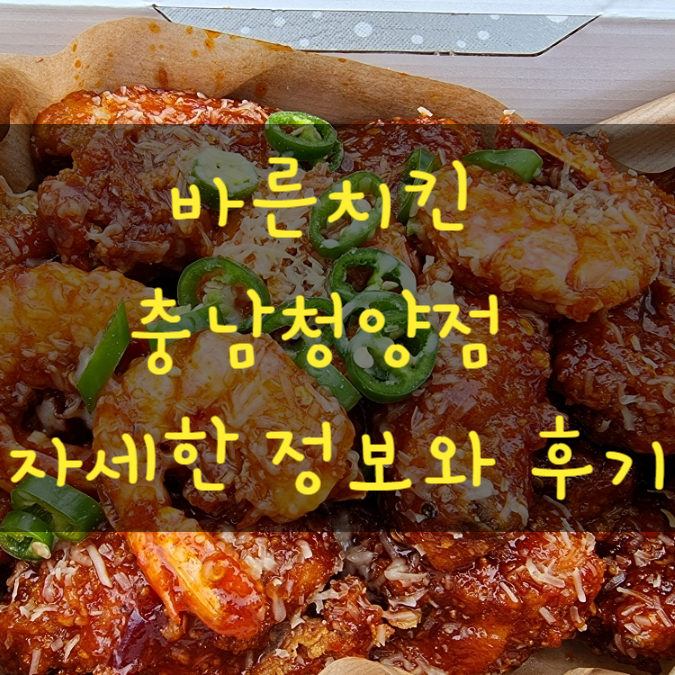  바른치킨 충남청양점 대새레드치킨 고구마치즈볼 메뉴 가격 추천 후기