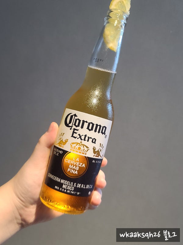 코로나맥주 'Corona Extra' 구매 가격 후기