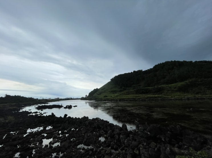  [제주도] 트래킹 코스 추천 섬속의 섬 제주 숨은 명소 제주 비양도 한림항 배시간 주차 비오는날