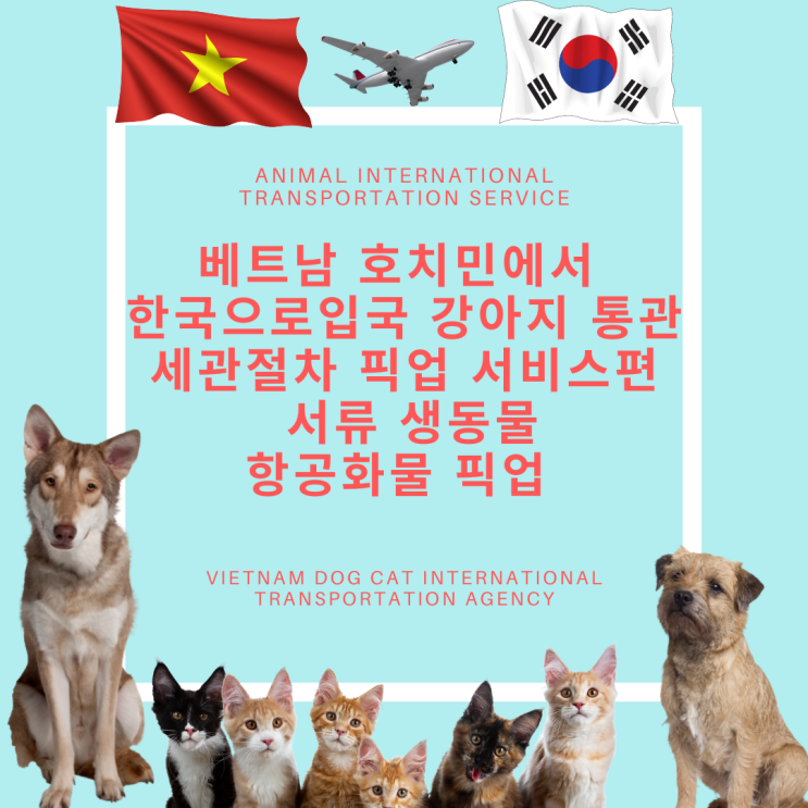  베트남 호치민에서 강아지 한국입국 통관 세관절차 고양이 강아지출국 검역