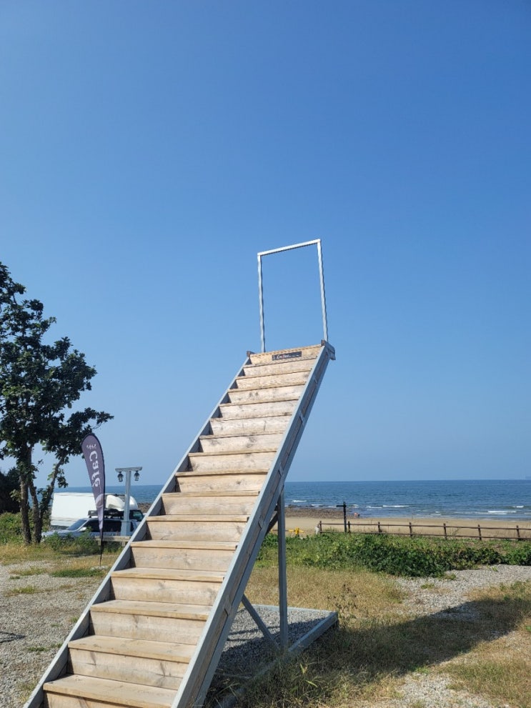  인생 샷 찍을 수 있는 안면도 바보 카페