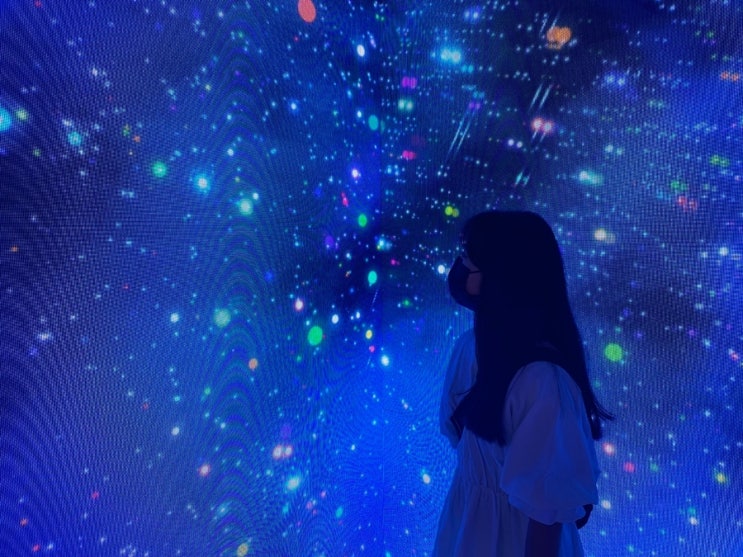  부산 실내데이트, 구경하기 좋은 곳- 해운대 뮤지엄다 미술관! 할인, 주의사항,솔직후기