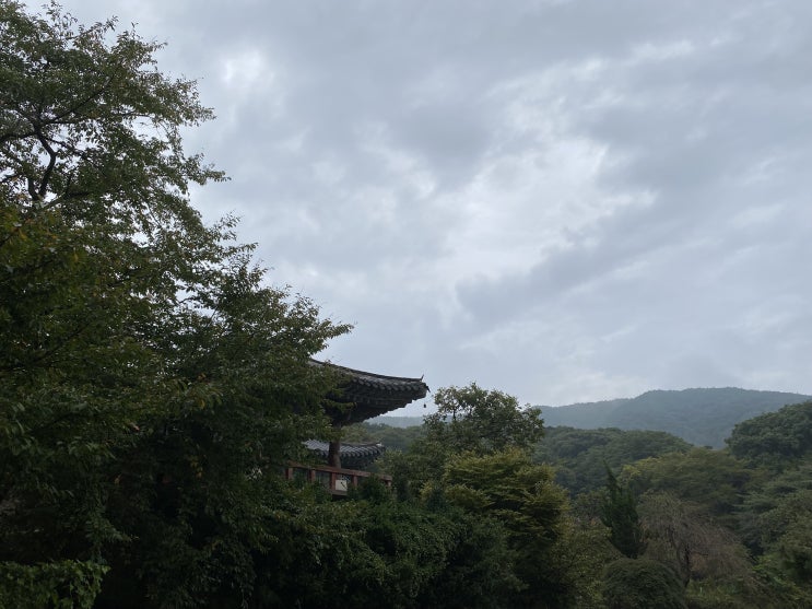  서산 개심사 - 비 오는 날이라 더 좋았던 곳
