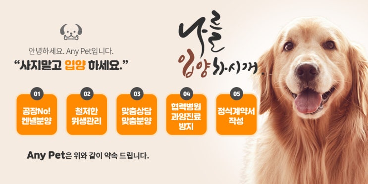  강아지분양 혹은 사지말고 입양하세요