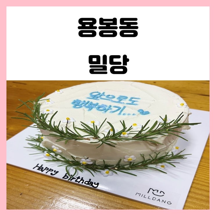 용봉동 카페 밀당 광주 케이크 주문 제작 유명해요