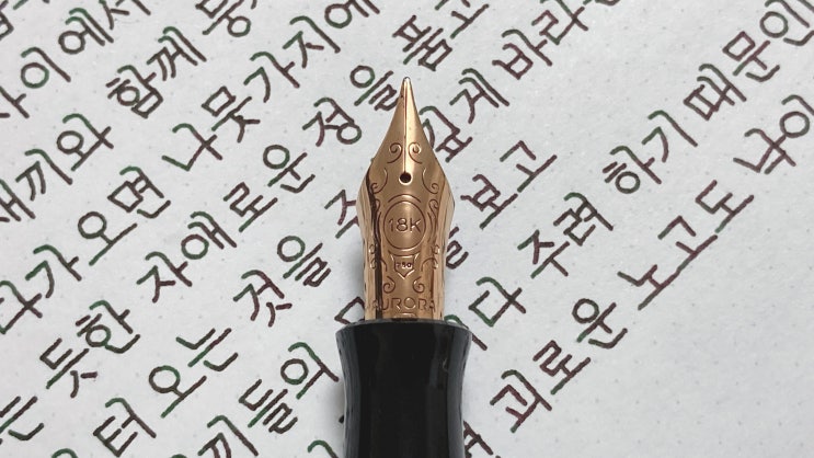 아이들을 생각하면 (정자체 필사, 오로라 단테 만년필 실제 사용 영상)