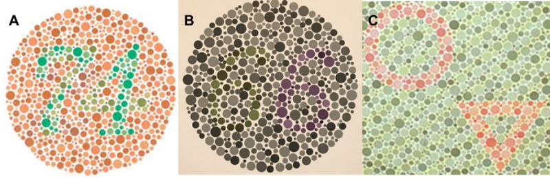 색각(Color Vision) - 색각검사, 색각이상(색맹, 색약), 선천적 색각이상, 후천적 색각이상 : 네이버 블로그