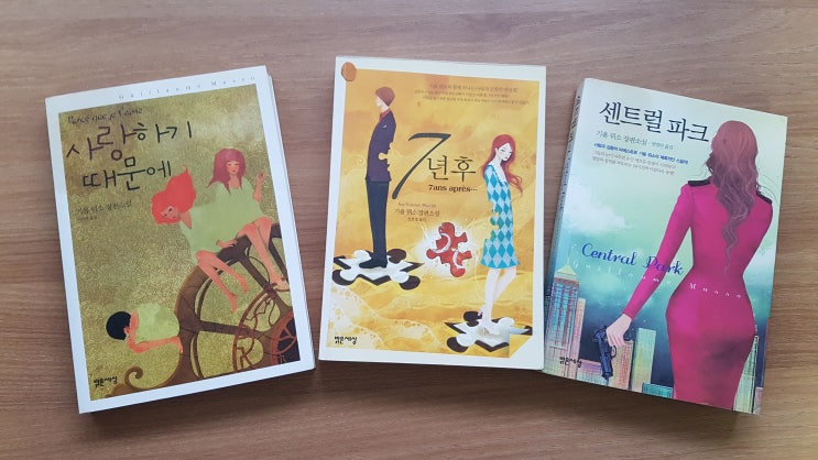  [책리뷰] 사랑하기 때문에, 7년 후, 센트럴파크 - 기욤 뮈소