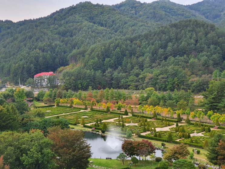  평창 켄싱턴호텔 솔직후기. 룸컨디션, 프랑스정원, 조식