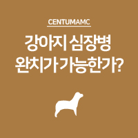  강아지 심장병 완치가 가능한가?